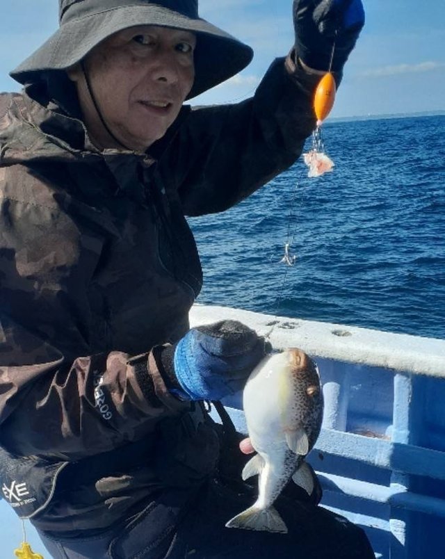 ショウサイフグ