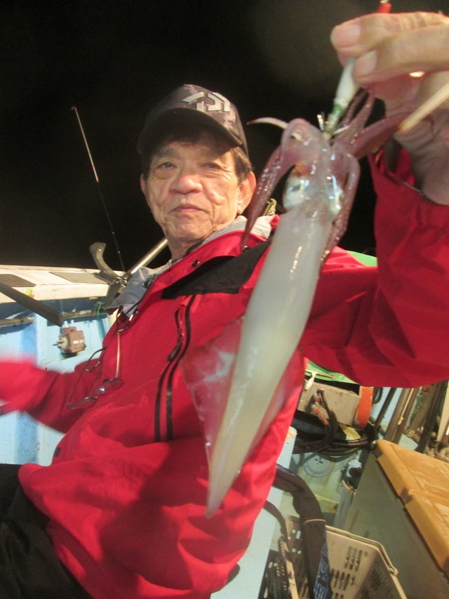 マイカ(ケンサキイカ)