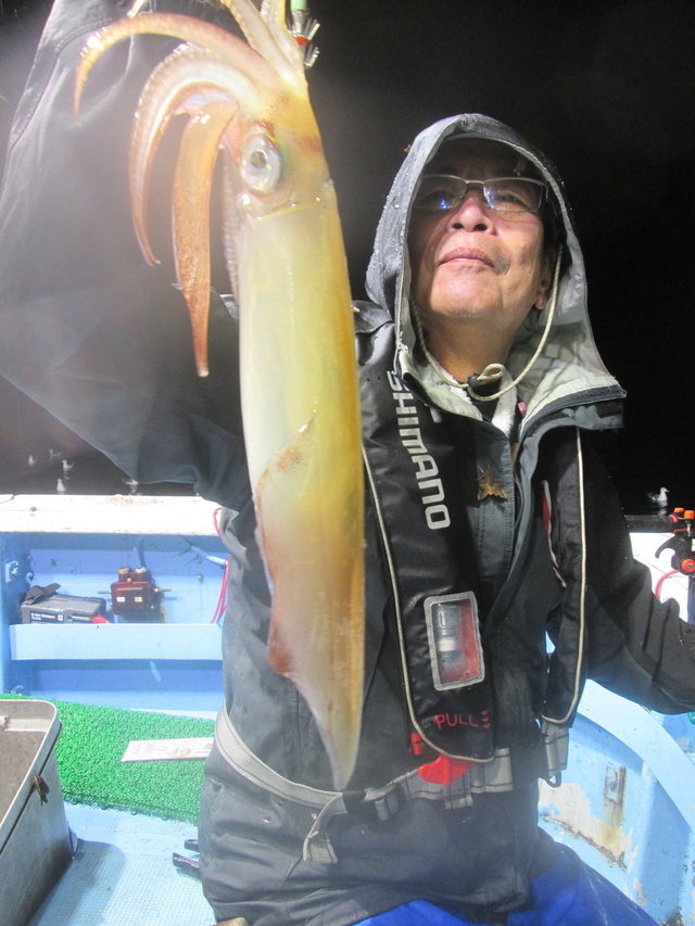 マイカ(ケンサキイカ)