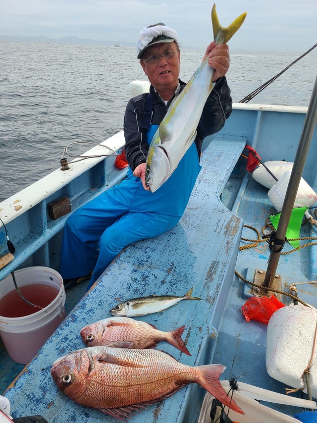 マダイ・ワラサ(ブリ)