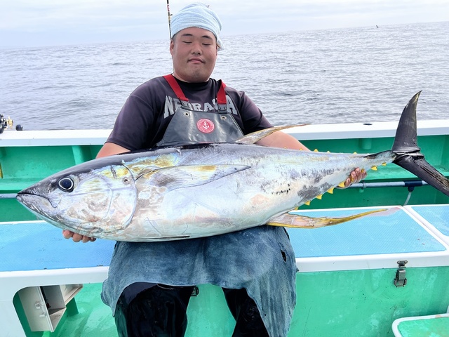 マグロ(キハダ)