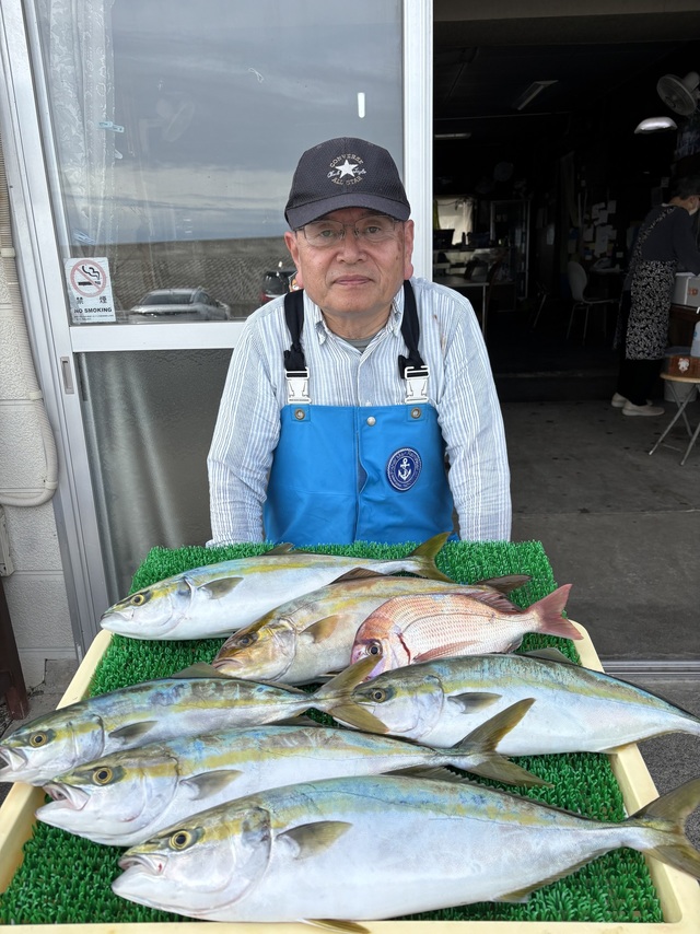 イナダ(ブリ)・カンパチ