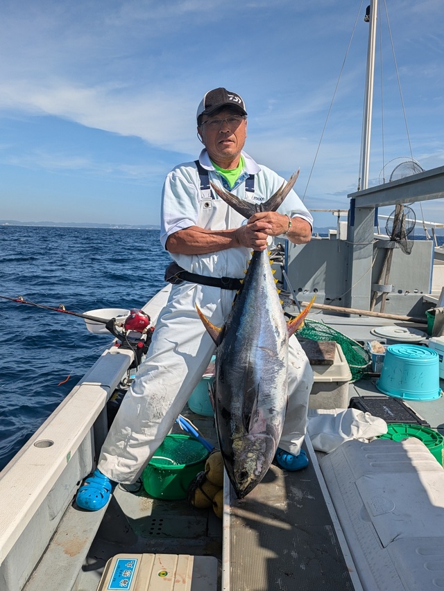 キハダマグロ(キハダ)