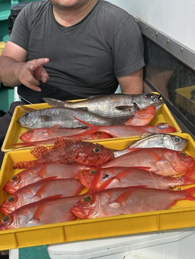 クロムツ・オニカサゴ・キンメダイ