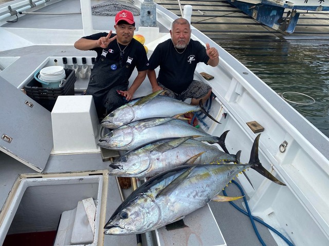 キハダマグロ(キハダ)