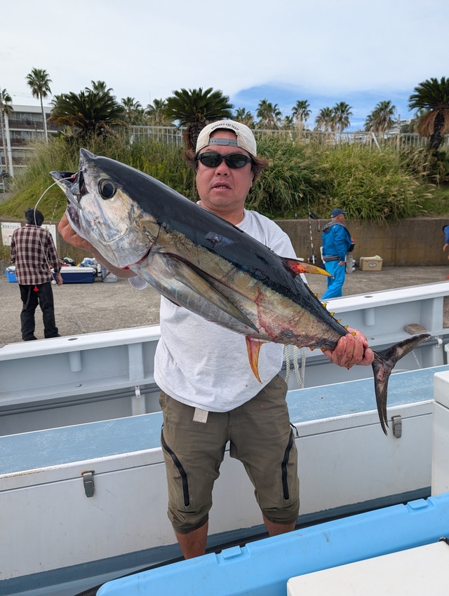 キメジ(キハダ)