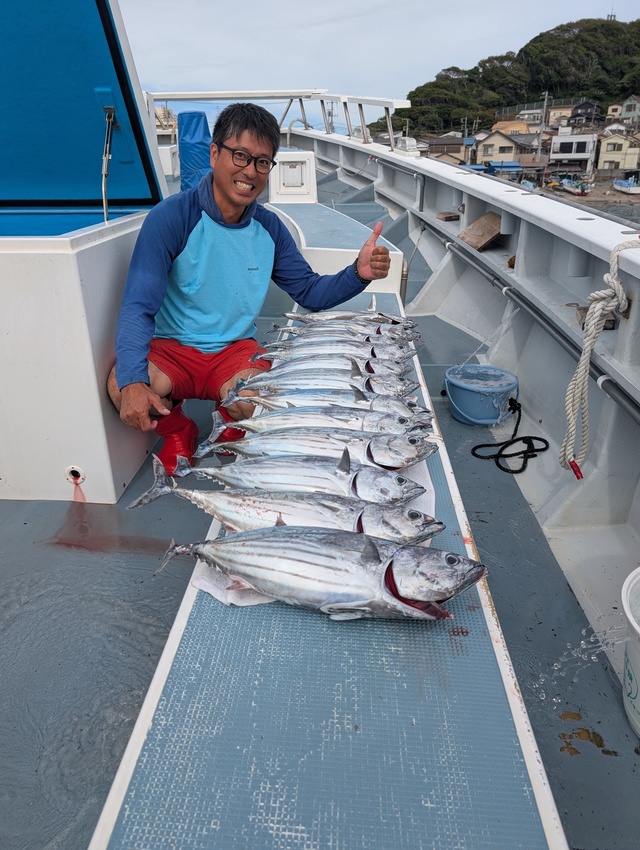 ホンガツオ(カツオ)