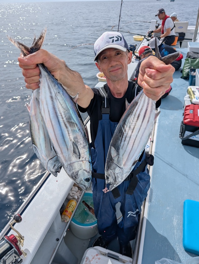 ホンガツオ(カツオ)