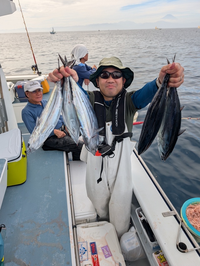 ホンガツオ(カツオ)