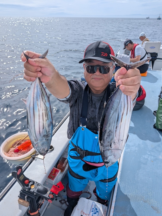 ホンガツオ(カツオ)