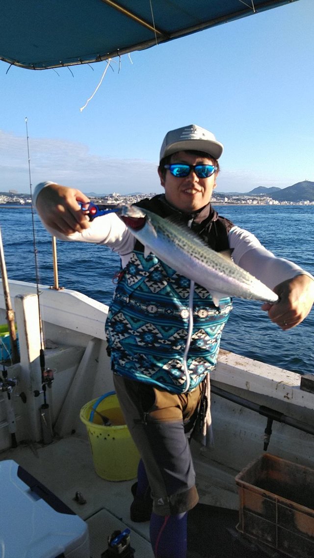 サゴシ(サワラ)