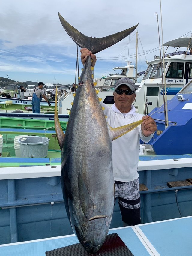 キハダマグロ(キハダ)