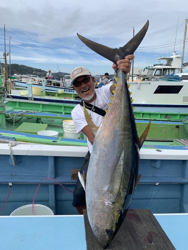 キハダマグロ(キハダ)