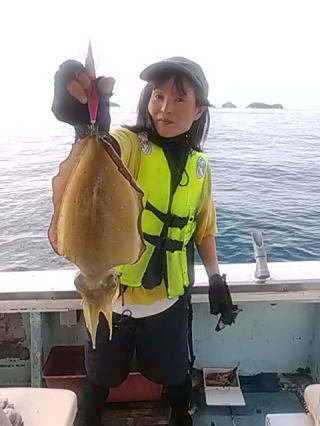 モンゴウイカ(カミナリイカ)