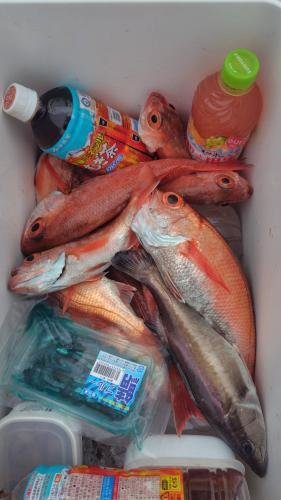 アラ・アカムツ