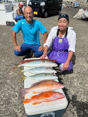 ハマチ(ブリ)・メジロ(ブリ)・カンパチ・クロホシフエダイ