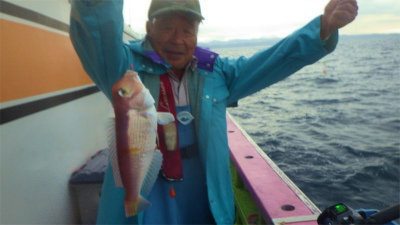 アマダイ(アカアマダイ)