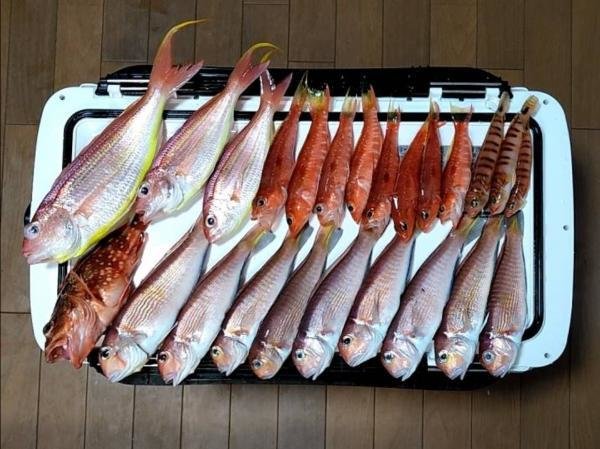 アマダイ(アカアマダイ)・イトヨリ(イトヨリダイ)・カサゴ・アカボラ(ヒメコダイ)