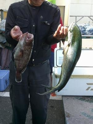 シーラ(シイラ)・ハタ(マハタ)