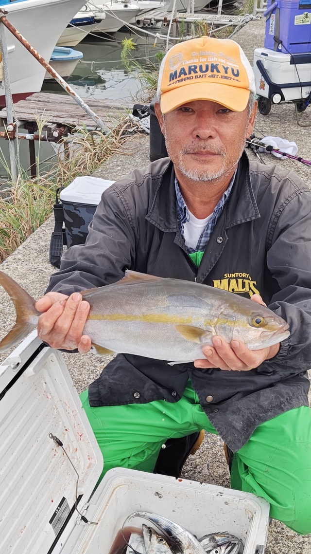 ショゴ(カンパチ)