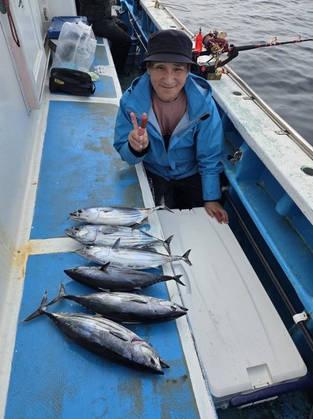 キハダマグロ(キハダ)・カツオ