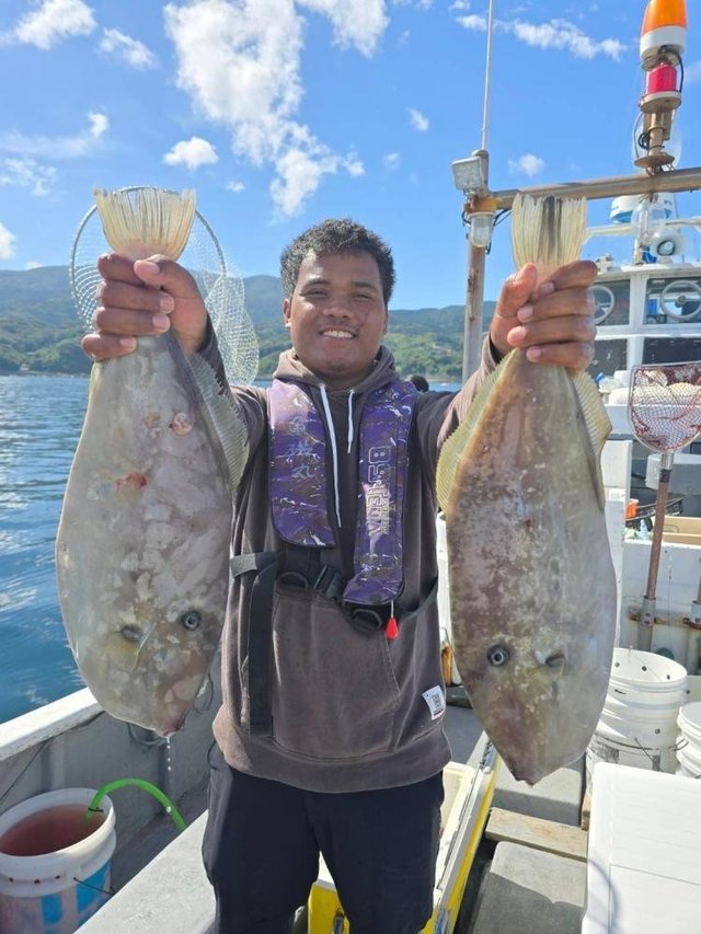 ハギ(ウマヅラハギ)