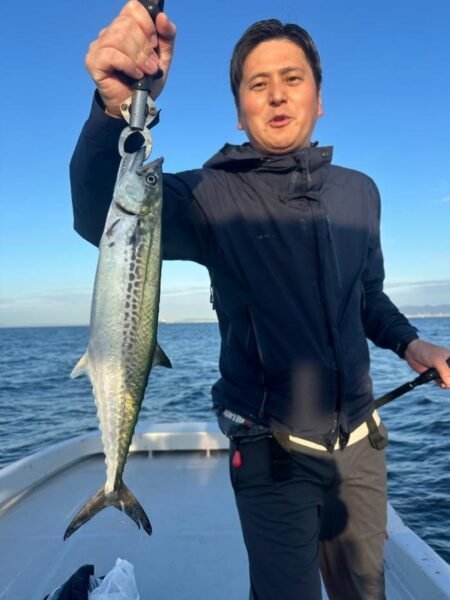 サゴシ(サワラ)