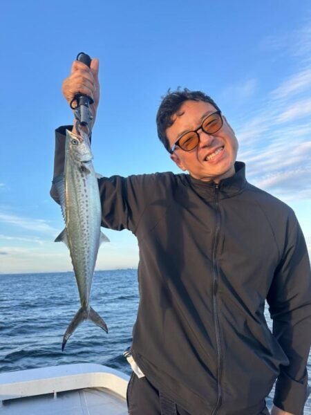 サゴシ(サワラ)