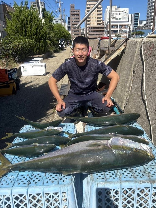 ブリ・ハマチ(ブリ)