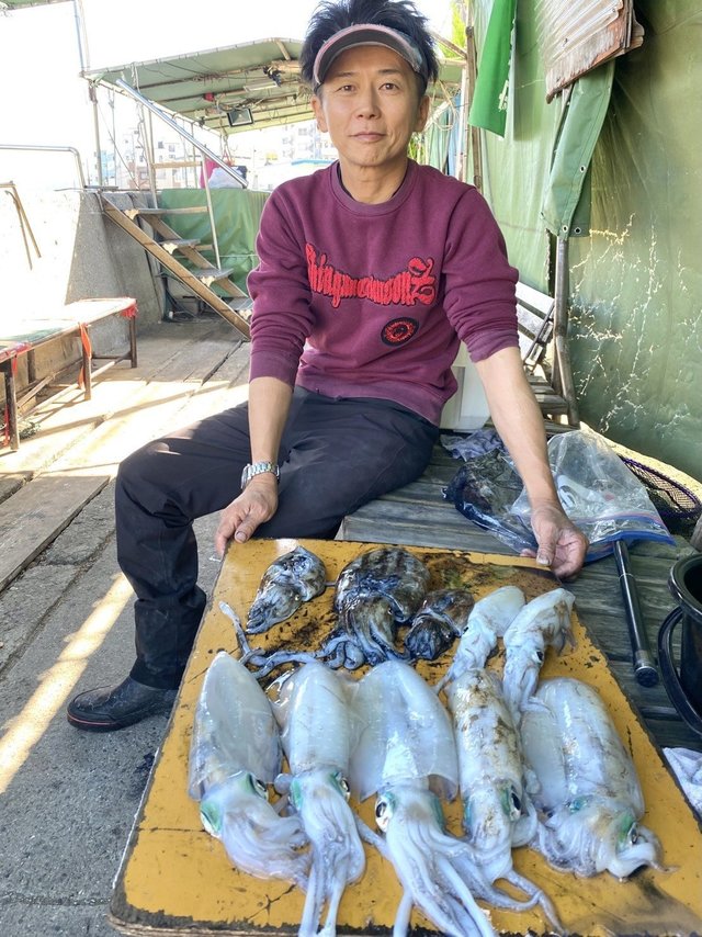 アオリイカ・ハリイカ(コウイカ)