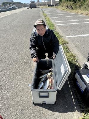 ハマチ(ブリ)・カンパチ