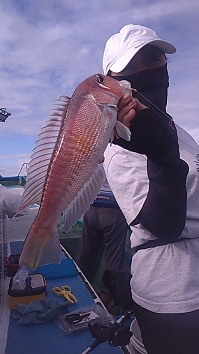 アマダイ(アカアマダイ)