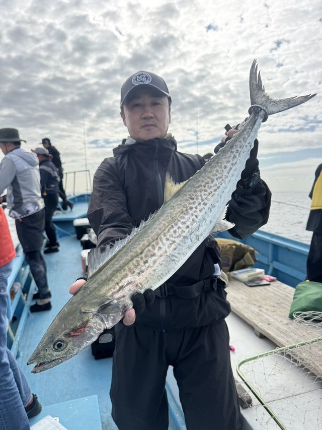 サゴシ(サワラ)