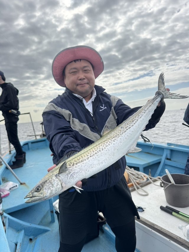 サゴシ(サワラ)