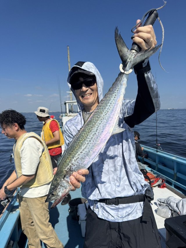 サゴシ(サワラ)