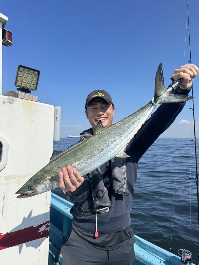 サゴシ(サワラ)