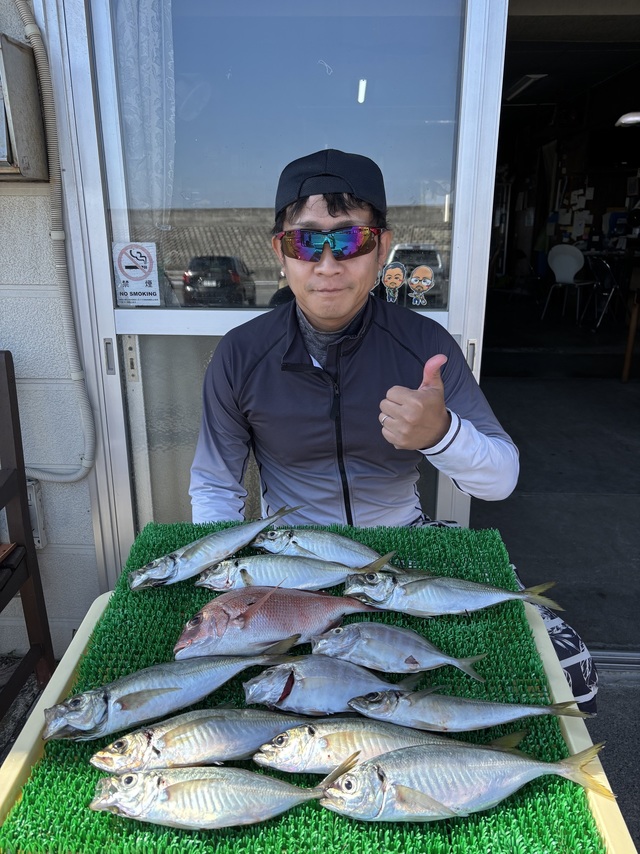 マダイ・アジ(マアジ)