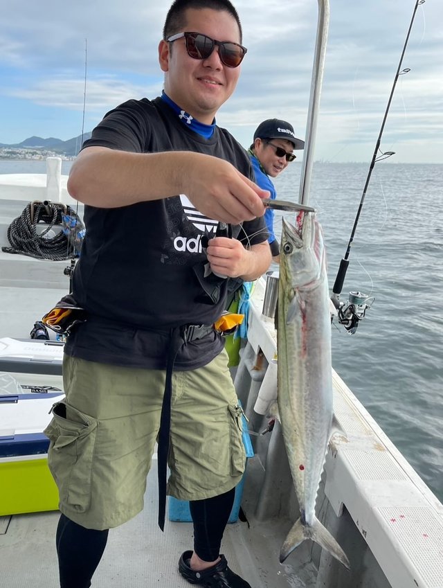 サゴシ(サワラ)