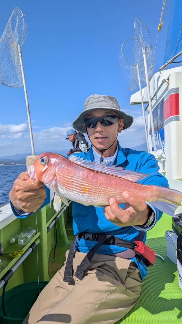 アマダイ(アカアマダイ)