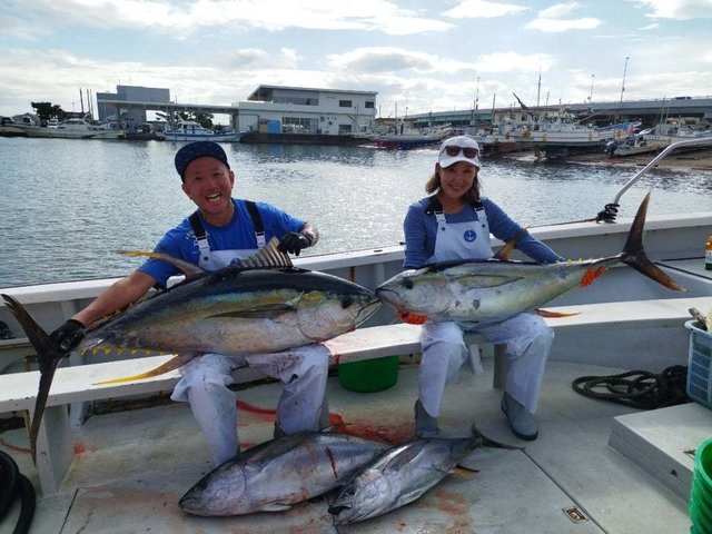キハダ・キメジ(キハダ)