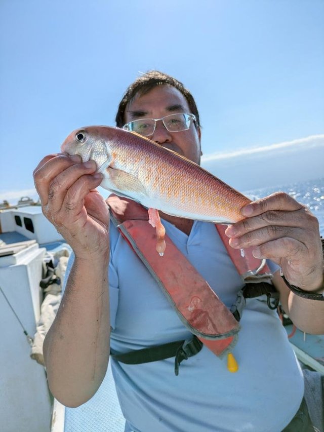 アマダイ(アカアマダイ)