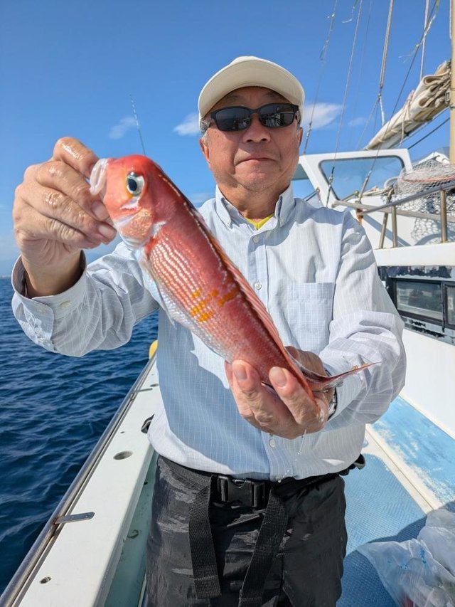 アマダイ(アカアマダイ)