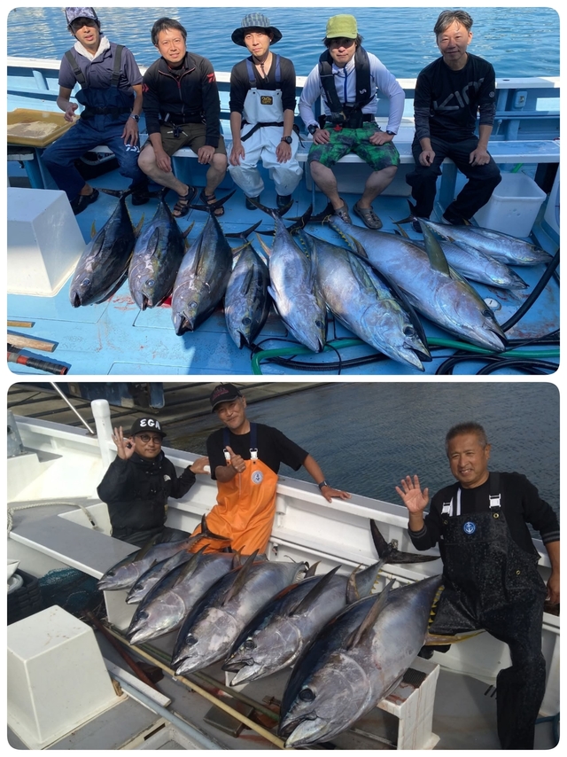 キハダマグロ(キハダ)