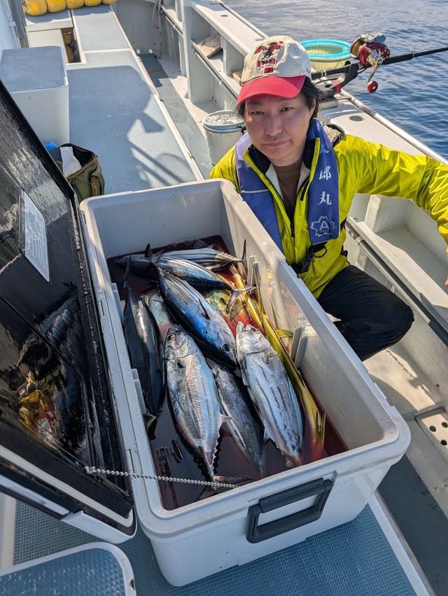 ホンガツオ(カツオ)