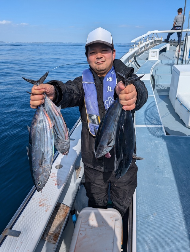 ホンガツオ(カツオ)