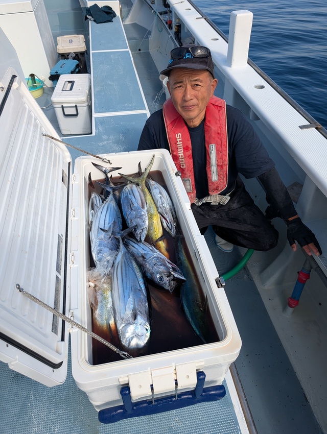 ホンガツオ(カツオ)