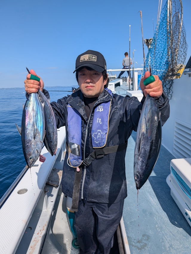 ホンガツオ(カツオ)