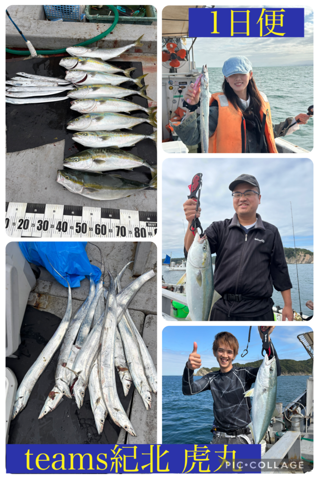 メジロ(ブリ)・タチウオ