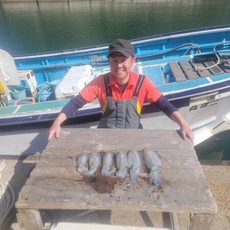 アオリ(アオリイカ)