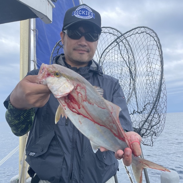 シオ(カンパチ)